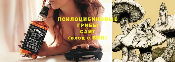 амф Кулебаки